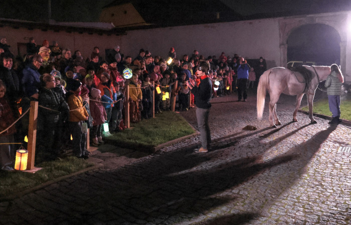 44_-_SvMartin__s_knihovnou_2024