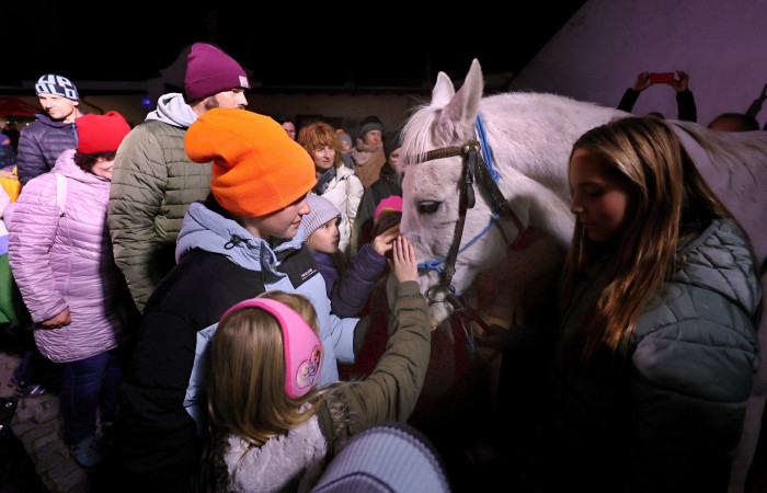 61_-_SvMartin__s_knihovnou_2024