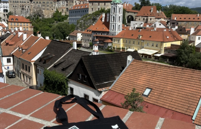 5A28BAB9-679E-4A8C-9D72-63656F884CD9_1_105_c