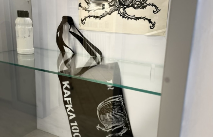 F4152755-FEB0-4F76-90EC-9D80472FF6B8_1_105_c